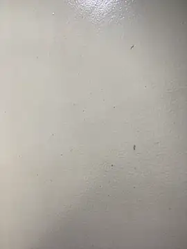 Issa Santana online show from February 21, 2026, 7:16 pm