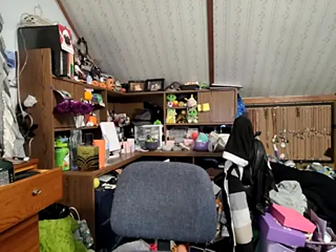 Snapshot of thejuicybacon chatting on February 1, 2026, 12:14 pm thejuicybacon online show from February 1, 2026, 12:14 pm