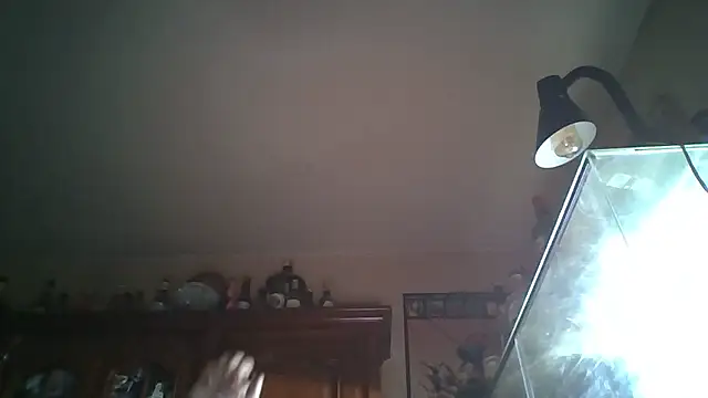 Snapshot of zipman92 chatting on January 5, 2026, 8:34 pm zipman92 online show from January 5, 2026, 8:34 pm