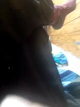 Snapshot of DonTorcuato chatting on September 24, 2025, 5:14 am DonTorcuato online show from September 24, 2025, 5:14 am