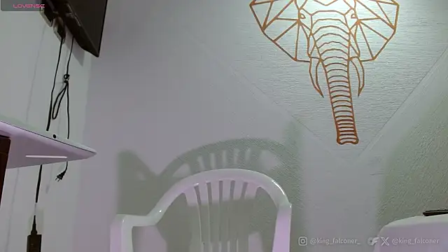 Snapshot of king_falconer chatting on February 21, 2026, 5:04 pm king falconer online show from February 21, 2026, 5:04 pm