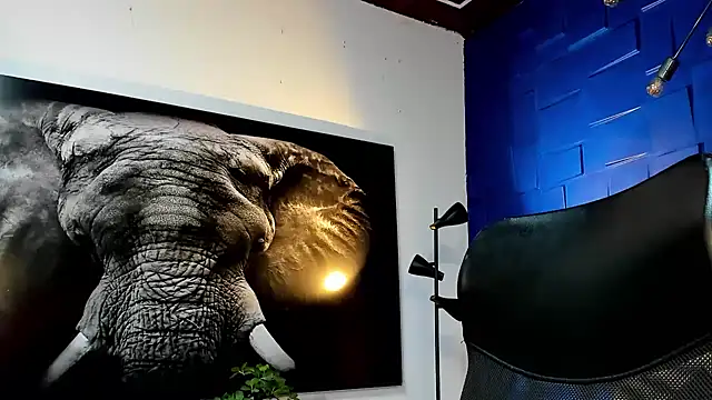 king falconer online show from November 29, 2025, 11:16 pm