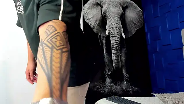 king falconer online show from November 3, 2025, 12:49 am