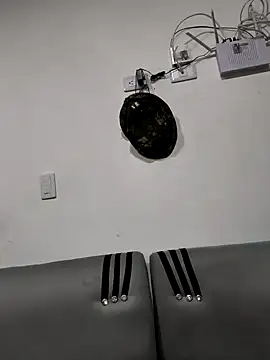 Hiroshi Shen online show from November 26, 2025, 10:48 am