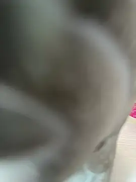 Snapshot of Helen_Vidall chatting on October 6, 2025, 3:57 pm Helen Vidall online show from October 6, 2025, 3:57 pm