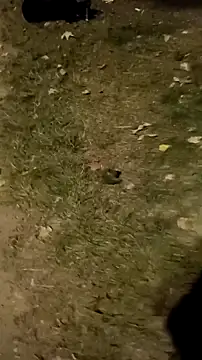 Snapshot of jvdzj-0_ chatting on October 18, 2025, 10:23 pm jvdzj-0 online show from October 18, 2025, 10:23 pm