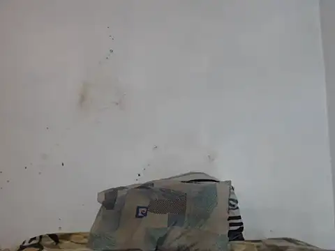 Snapshot of Bedroom_Gangster007 chatting on February 20, 2026, 10:12 pm Bedroom Gangster007 online show from February 20, 2026, 10:12 pm