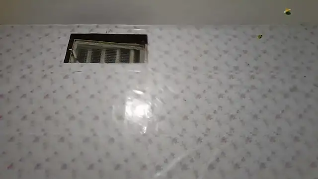 Roselingalvis13 online show from February 5, 2026, 3:13 am