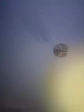 MagicNateBall1 online show from October 19, 2025, 11:40 pm