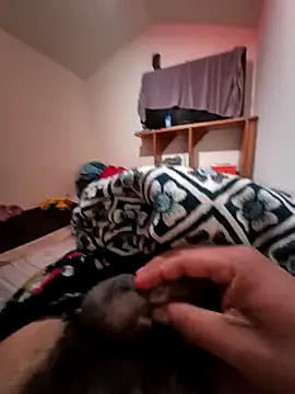 uratre online show from December 18, 2025, 6:12 pm