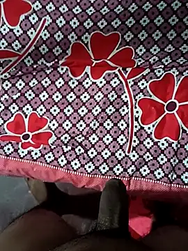 Snapshot of litejohnny chatting on November 12, 2025, 4:55 pm litejohnny online show from November 12, 2025, 4:55 pm