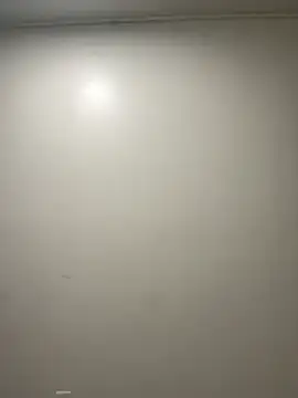 Freakyshiestyyy online show from December 19, 2025, 6:43 pm