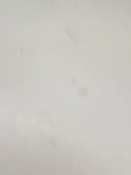 guridosul051 online show from January 12, 2026, 2:35 pm