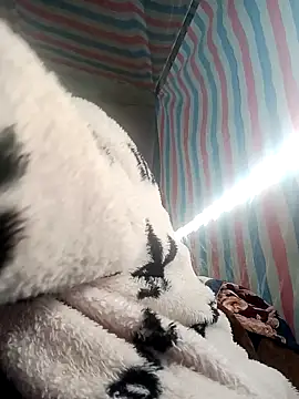 jienrrr online show from November 26, 2025, 1:49 am