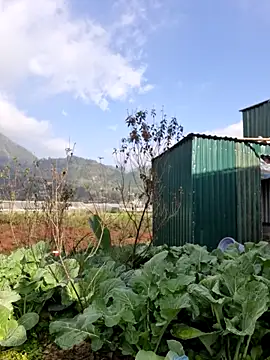 yoowwmr online show from December 22, 2025, 1:50 am