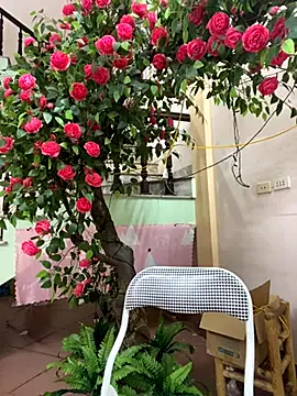 Snapshot of Bollozzy_89 chatting on September 29, 2025, 4:23 pm Bollozzy 89 online show from September 29, 2025, 4:23 pm