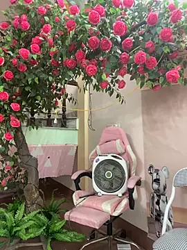 Snapshot of Bollozzy_89 chatting on October 6, 2025, 4:13 am Bollozzy 89 online show from October 6, 2025, 4:13 am