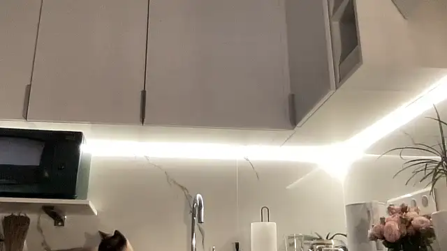 Gidelii online show from October 13, 2025, 6:53 pm