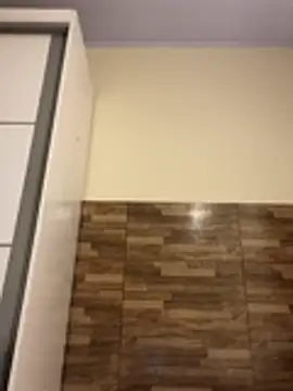 morenaluaa online show from October 31, 2025, 9:17 am