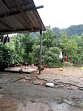 Snapshot of SexyQueen99 chatting on September 25, 2025, 10:21 am SexyQueen99 online show from September 25, 2025, 10:21 am