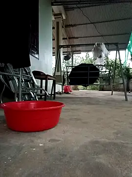 Snapshot of SexyQueen99 chatting on September 18, 2025, 10:40 am SexyQueen99 online show from September 18, 2025, 10:40 am