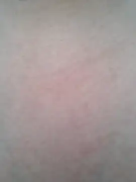 Snapshot of BigBoobs186 chatting on October 20, 2025, 1:29 am BigBoobs186 online show from October 20, 2025, 1:29 am