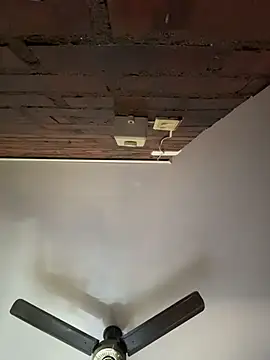 Luxx 14 online show from September 22, 2025, 7:09 pm