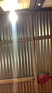 jabulani2600 online show from January 6, 2026, 9:08 pm