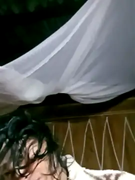 maple694 online show from October 26, 2025, 12:05 pm