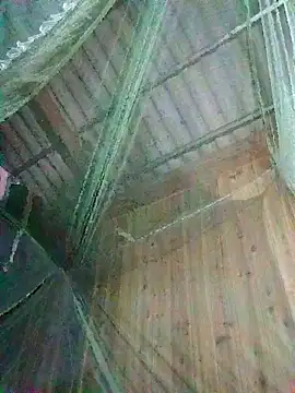 Mptrangp online show from April 16, 2026, 10:01 pm