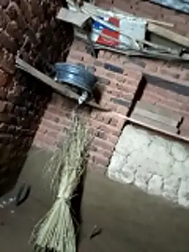 Radha hotx online show from October 27, 2025, 2:07 pm