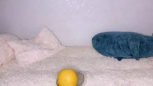 Snapshot of LustRaiderz1 chatting on October 14, 2025, 1:56 pm LustRaiderz1 online show from October 14, 2025, 1:56 pm