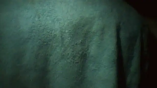 pietje1991 online show from March 2, 2026, 2:56 am