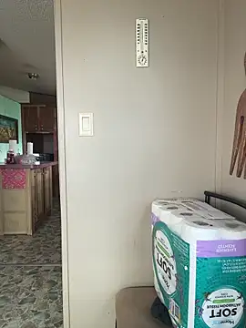 TranSexualJade95 online show from April 12, 2026, 9:29 pm