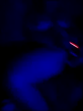 Paoloynoelia online show from September 20, 2025, 5:01 am