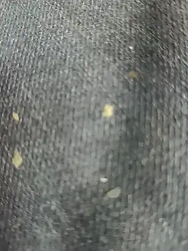 Snapshot of Narckse chatting on September 15, 2025, 7:31 am Narckse online show from September 15, 2025, 7:31 am