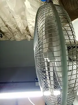 Snapshot of HarryChoudhary21 chatting on November 3, 2025, 12:42 pm HarryChoudhary21 online show from November 3, 2025, 12:42 pm