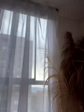 Sofi Leal online show from January 8, 2026, 12:11 pm