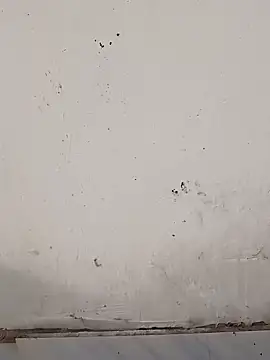 monubigcoock online show from November 17, 2025, 9:57 am