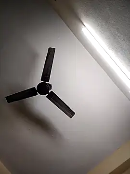 Snapshot of Devi-with-Ram chatting on November 18, 2025, 6:17 am Devi-with-Ram online show from November 18, 2025, 6:17 am