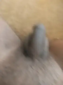 King Raj99 online show from October 18, 2025, 10:50 am