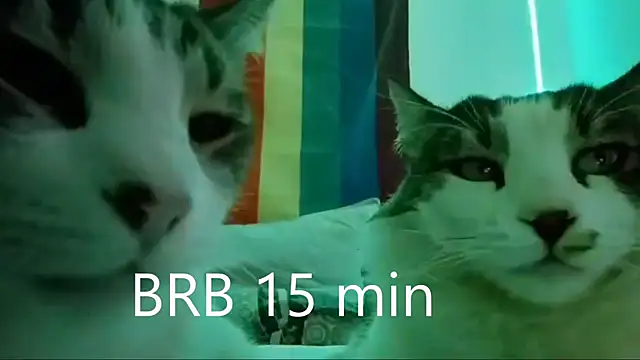 Snapshot of JettaHerrin chatting on September 24, 2025, 10:11 am JettaHerrin online show from September 24, 2025, 10:11 am