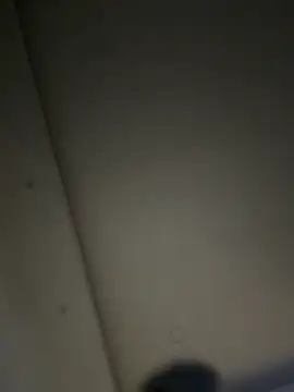 ALANNFERRER online show from November 22, 2025, 10:14 am