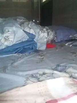 Tan32 11 online show from February 5, 2026, 12:28 am