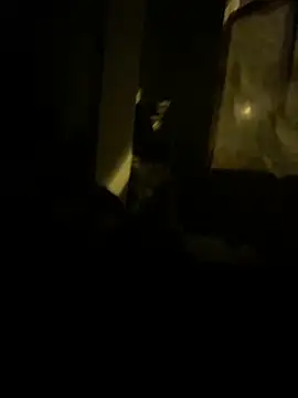 Snapshot of lDarkGreyl chatting on October 23, 2025, 1:48 am lDarkGreyl online show from October 23, 2025, 1:48 am