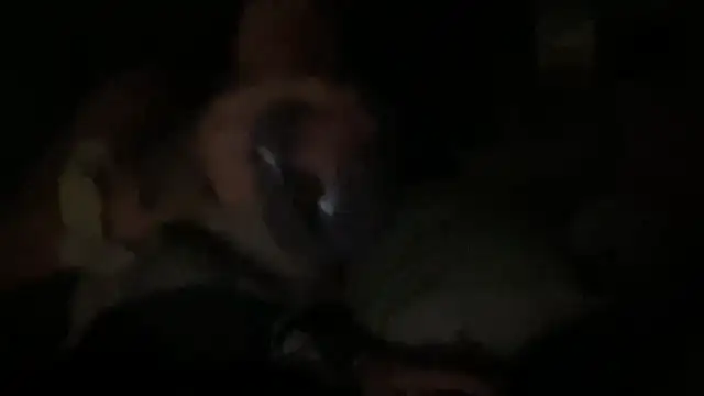 Snapshot of dddasani chatting on September 24, 2025, 6:09 am dddasani online show from September 24, 2025, 6:09 am