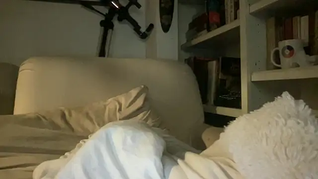 Snapshot of dddasani chatting on October 2, 2025, 2:42 pm dddasani online show from October 2, 2025, 2:42 pm