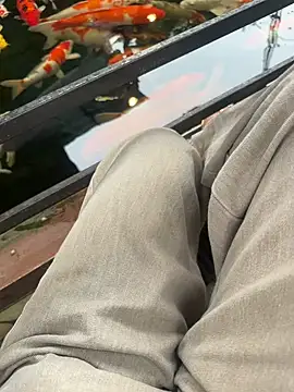 sharon-Hanna online show from February 25, 2026, 2:34 am