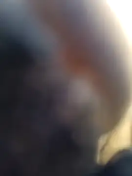 Snapshot of ShawnandDani7074 chatting on February 4, 2026, 5:52 pm ShawnandDani7074 online show from February 4, 2026, 5:52 pm