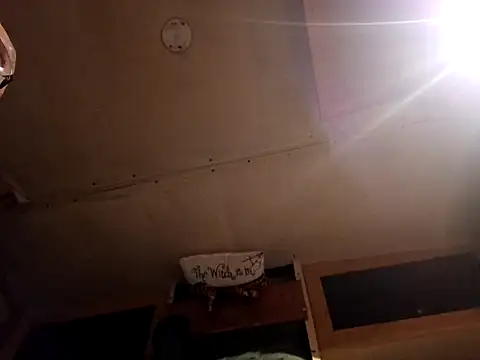 ShawnandDani7074 online show from March 28, 2026, 1:50 am